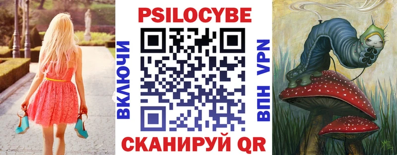 где найти Торжок Псилоцибиновые грибы мухоморы